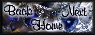 Back/Home/Next Image Map